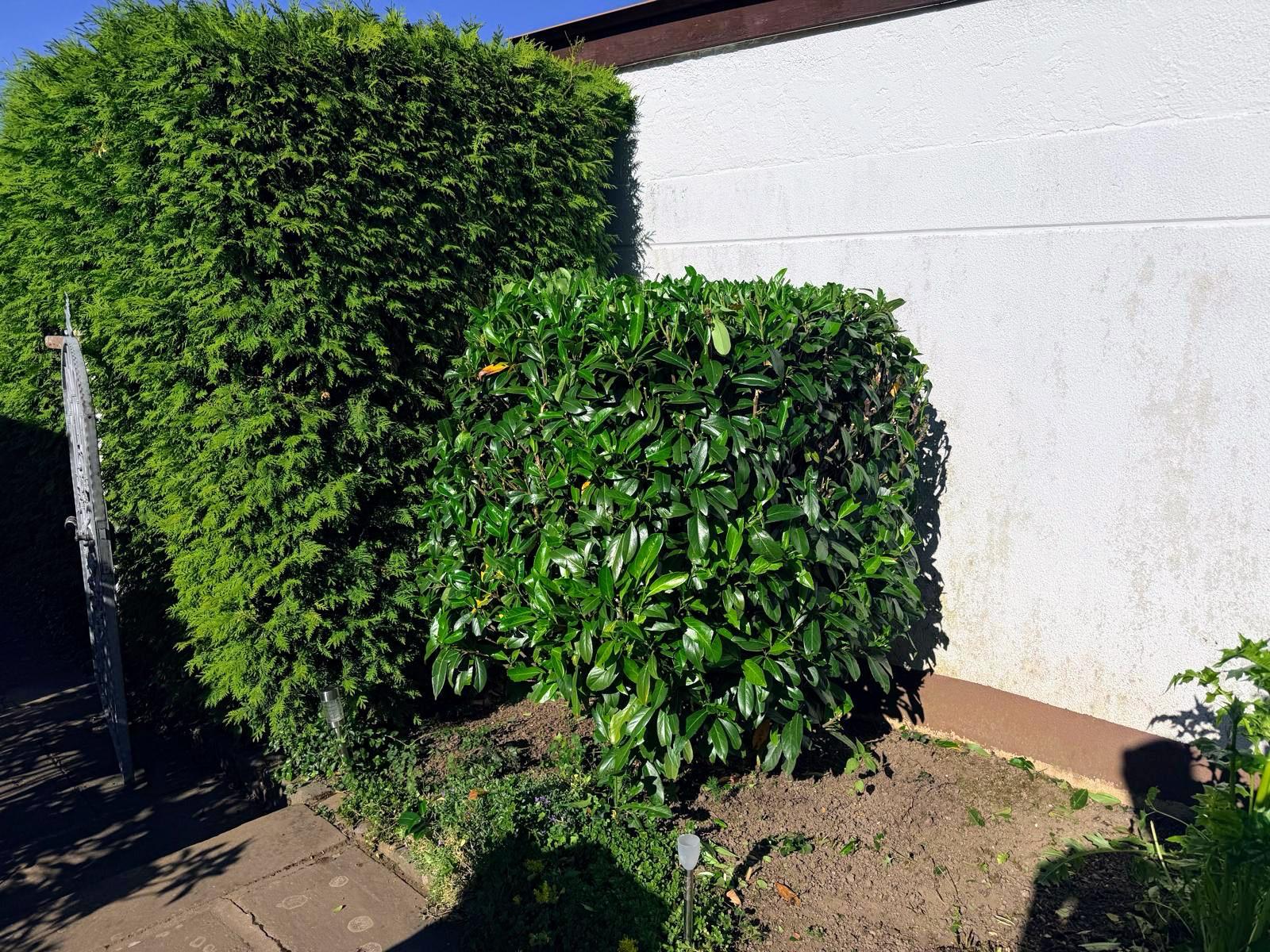 Grünfix Gartenservice Projekt 7 – Gartenpflege im Ortenaukreis